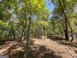 0 Webb Creek Road - Photo 9