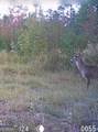 10496 Ga Highway 15 - Photo 23