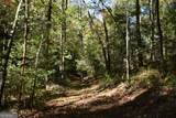 32.98 ACRES Zion Hill Road - Photo 6