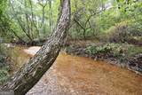 00001 Poplar Springs Road - Photo 11