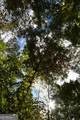 00001 Poplar Springs Road - Photo 34