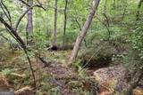 00001 Poplar Springs Road - Photo 46