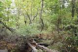 00001 Poplar Springs Road - Photo 47