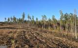LOT 133 River Reach Lane - Photo 3