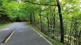 1012 Wild Turkey Bluff - Photo 10