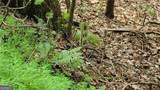 1012 Wild Turkey Bluff - Photo 12