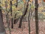LOT 468 Cherokee Court - Photo 6