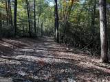 TRACT 3 Turniptown Road - Photo 12