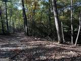 TRACT 3 Turniptown Road - Photo 13