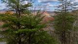 198 Hollow Log Trail - Photo 25