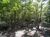 0 Booger Hollow Road - Photo 21