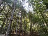 0 Booger Hollow Road - Photo 25