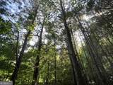 0 Booger Hollow Road - Photo 27