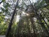 0 Booger Hollow Road - Photo 5