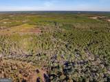 0 State Road 185 - Photo 10