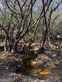 0 State Road 185 - Photo 21