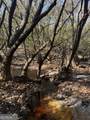 0 State Road 185 - Photo 22