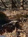 0 State Road 185 - Photo 26