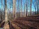 LT M214 Walnut Ridge - Photo 13