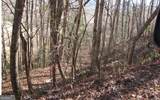 #39 Pinecrest Road - Photo 4