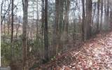 #39 Pinecrest Road - Photo 5