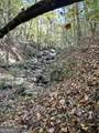 0 Dennis Creek Road - Photo 10