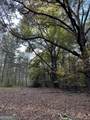 0 Dennis Creek Road - Photo 14