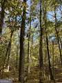 0 Dennis Creek Road - Photo 6