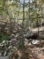TRACT 2 Dennis Creek Road - Photo 12