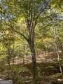 TRACT 2 Dennis Creek Road - Photo 15