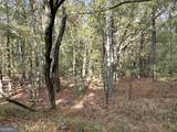 TRACT 2 Dennis Creek Road - Photo 26