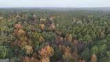 TRACT 2 Dennis Creek Road - Photo 6
