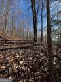 LOT 54 Sunny View Drive - Photo 9
