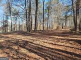 1855 Flat Rock Road - Photo 12