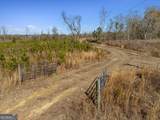 1644 Rigby Road - Photo 48