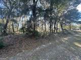 V/L 276 Harbour Island Circle - Photo 4