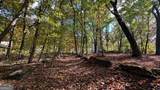 LOT 28 Long Mountain Road - Photo 19