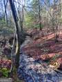 2594 Blue Ridge Gap Road - Photo 29