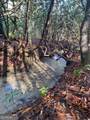 2594 Blue Ridge Gap Road - Photo 30