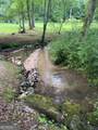 2594 Blue Ridge Gap Road - Photo 33