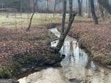 2594 Blue Ridge Gap Road - Photo 34