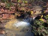 2594 Blue Ridge Gap Road - Photo 35