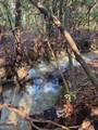 2594 Blue Ridge Gap Road - Photo 37