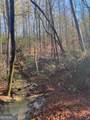 2594 Blue Ridge Gap Road - Photo 38