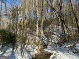 2594 Blue Ridge Gap Road - Photo 39