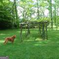 2594 Blue Ridge Gap Road - Photo 41