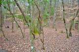 8 ACRES Brunton Circle - Photo 20