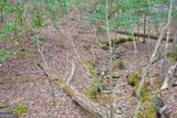 8 ACRES Brunton Circle - Photo 27