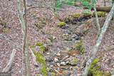 8 ACRES Brunton Circle - Photo 28