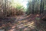 0 Burtons Ferry Highway - Photo 11